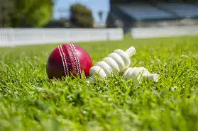 Cricket