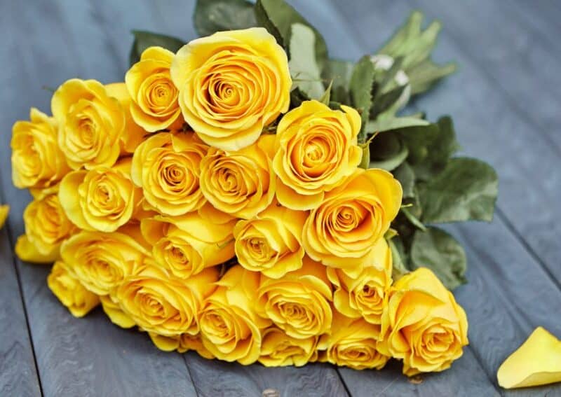 Joan Phyllis Wilcock