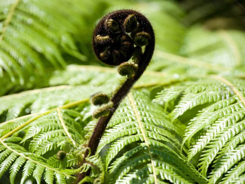 Michael Edward Brady